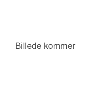 Andre 4,5 mm luftgeværer
